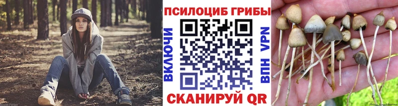 blacksprut ТОР Приморск Галлюциногенные грибы GOLDEN TEACHER
